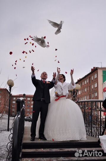 Видеосъёмка (не фотограф) регистрации и свадьбы. П