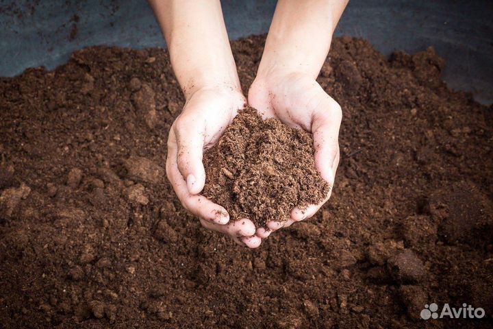Торф нейтральный