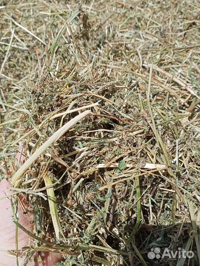 Сено разнотравье