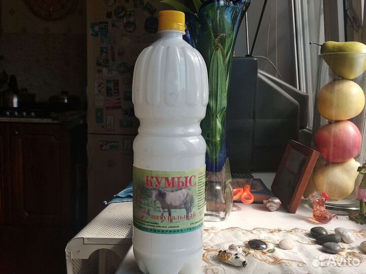 Кумыс кобылицы