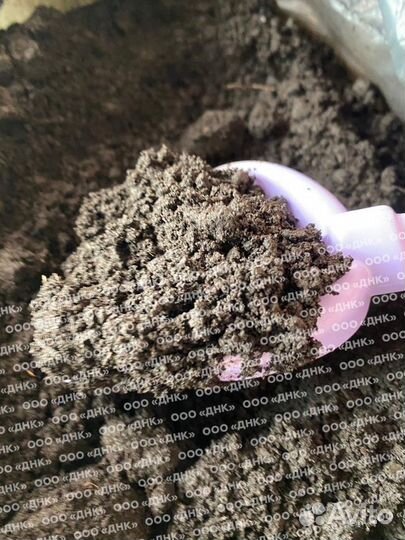 Земля плодородная для теплицы, чернозем, навоз