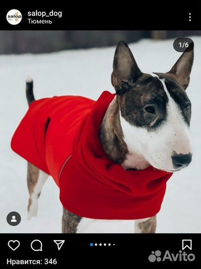 Попона для собак salopdog красная спина 41-50