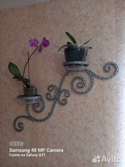 Кашпо под 2 цветка