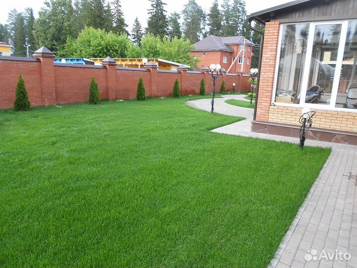 Укладка рулонного газона под ключ