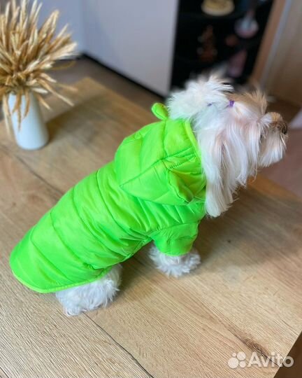 Куртки для собак (разные)