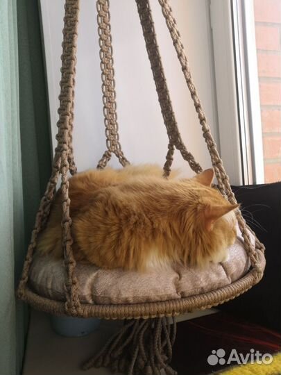 Комплект для кошек, гамак с подушкой