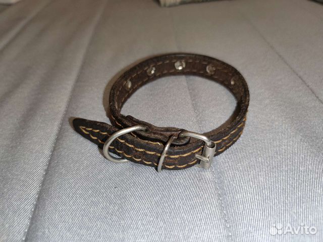 Ошейник для собак