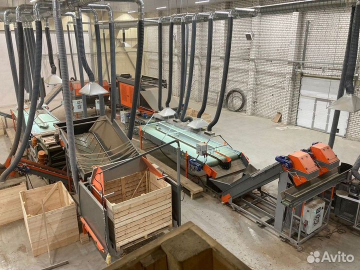 Линия сортировки овощей