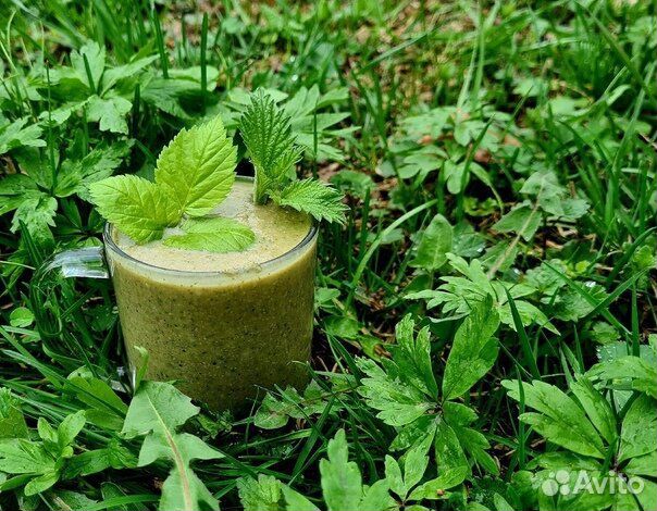 Сок сныти, сныть на меду