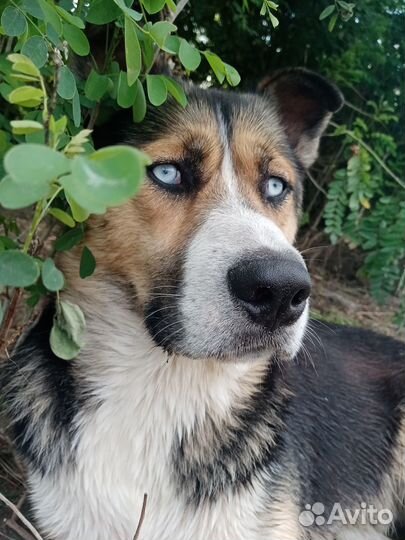 Красавец мальчик