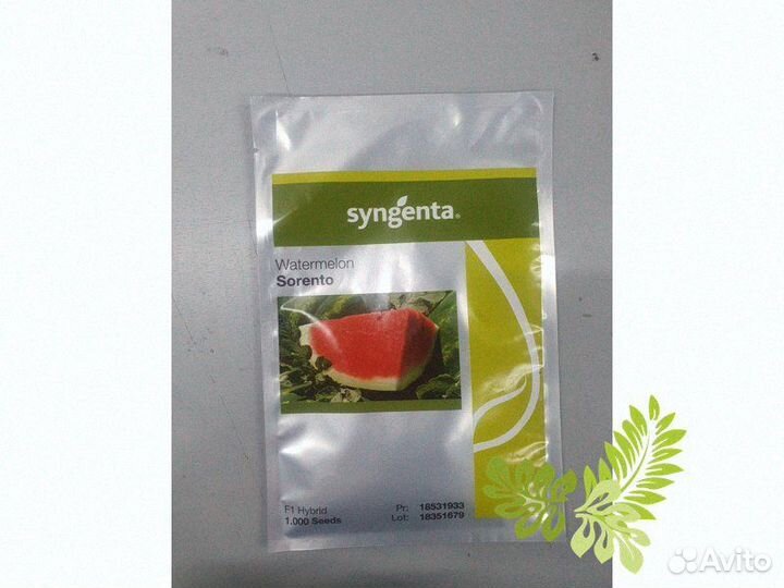 Соренто F1 - семена арбуза, 1000 семян