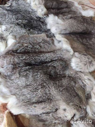 Шкурки кролика