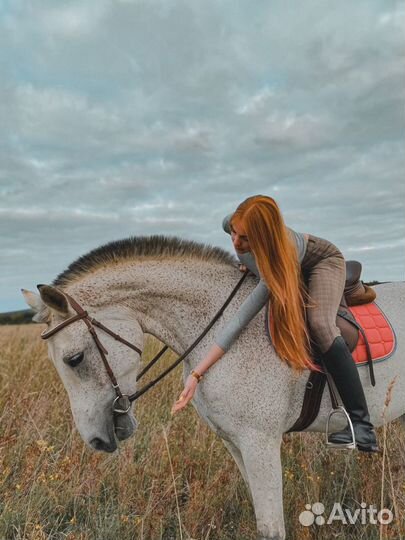 Конные прогулки/фотосессии/аренда лошади