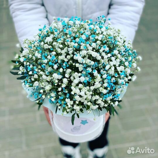 Комплименты из Цветной Гипсофилы в Коробках. Цветы