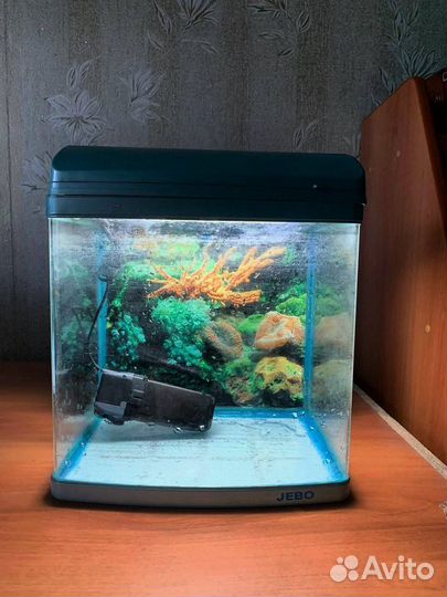 Аквариум