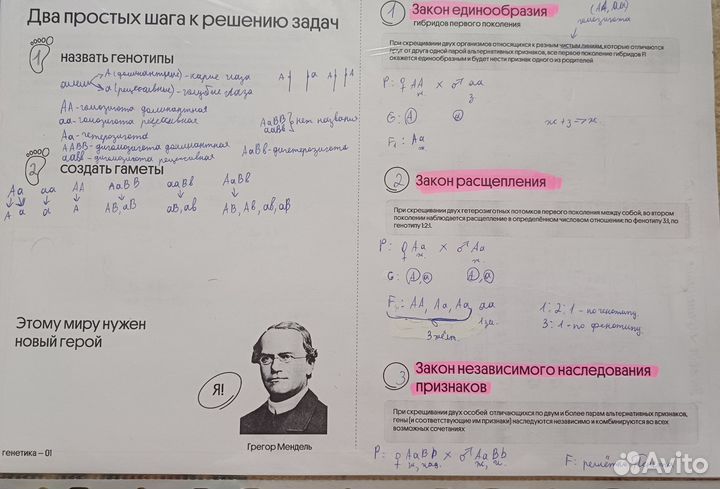 Курсы по подготовке к егэ по биологии