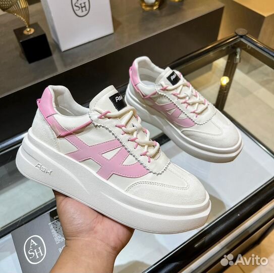 Кроссовки кеды Ash Intense