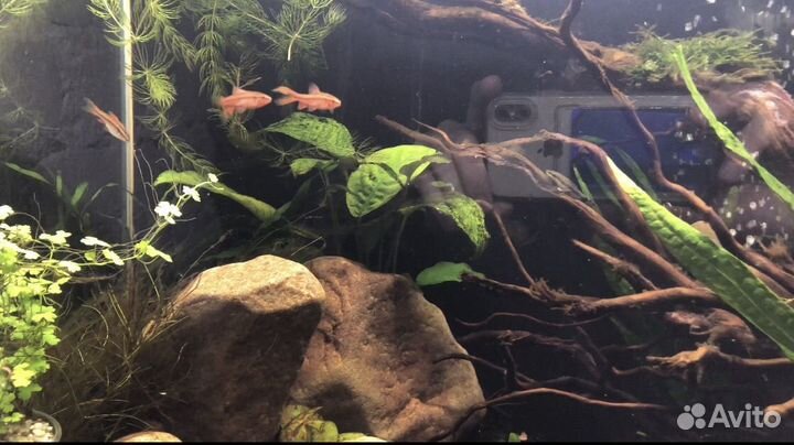 Обслуживание и Изготовление аквариума