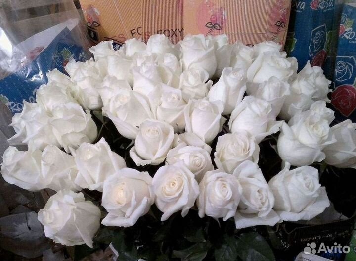 Высокие Высокие розы Гигантские розы Букеты Достав
