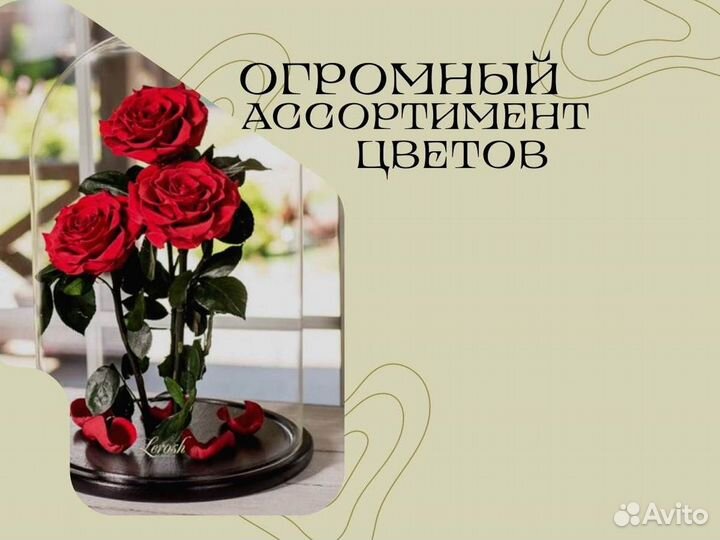 Неувядающая роза в колбе