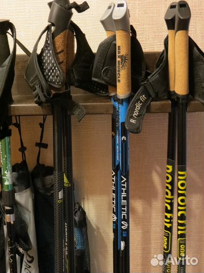 Треккинговые палки