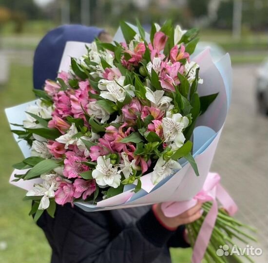 Свежие Альстромерии. Доставка/Самовывоз