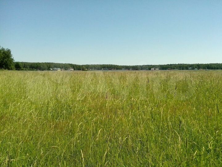 Участок 15 сот. (ИЖС)