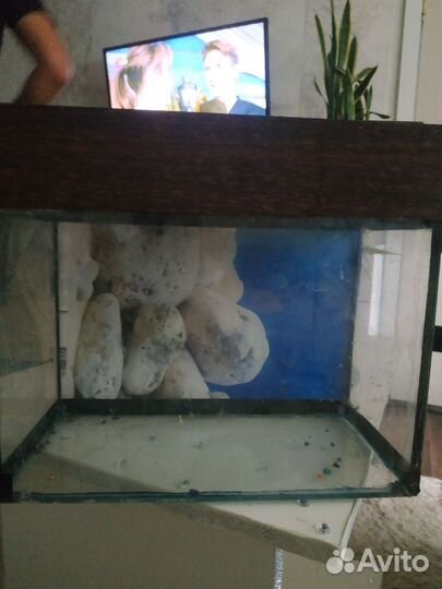 Аквариум