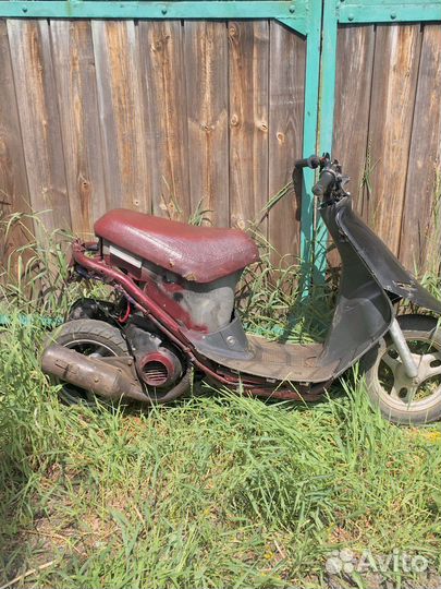 Honda dio af18