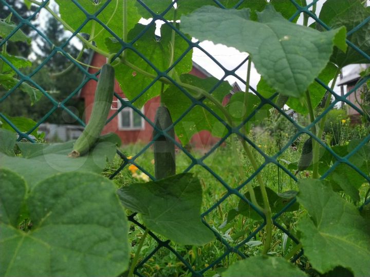 Дача 60 м² на участке 10,5 сот.