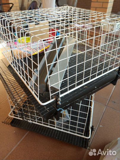 Клетка для перепелов