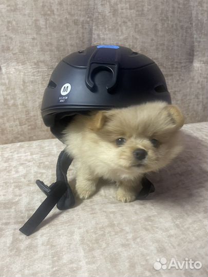 Шлем Giro 2021-22 Zone Mips Matte Black