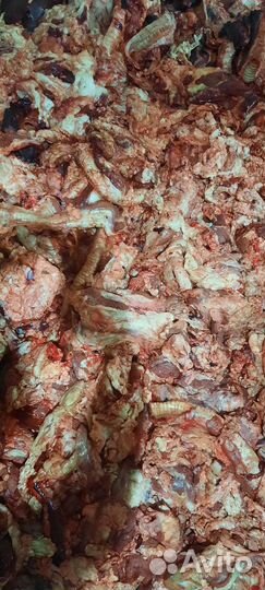 Корм для собак