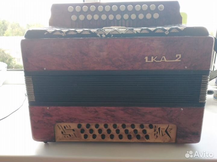 Гармошка Теза