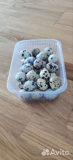 Домашние куриные яйца