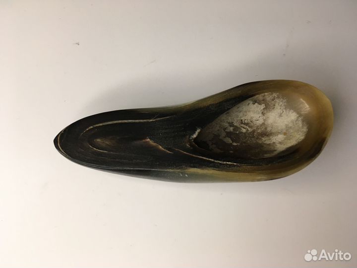 Подставка из рога с дарственной надписью