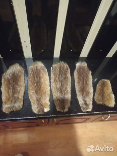 Выделанная шкура ондатры натуральный мех