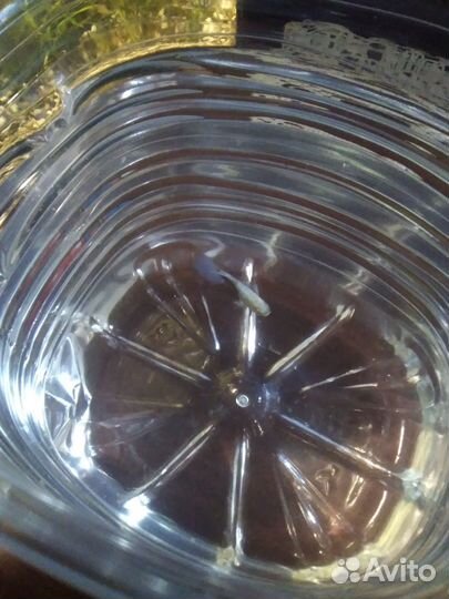 Аквариумный мини-крокодил