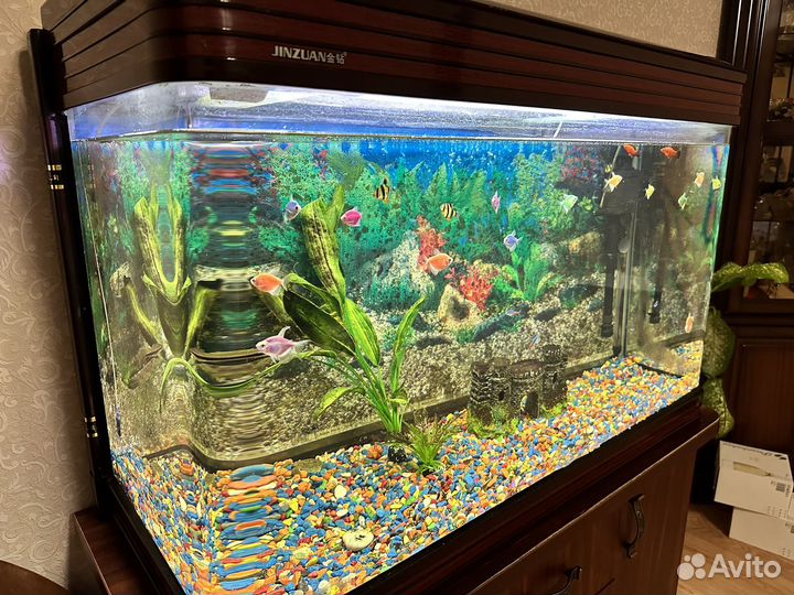 Аквариум с рыбками и оборудованием