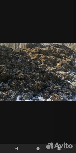 Навоз коровий,куриный,свиной в мешках, опил