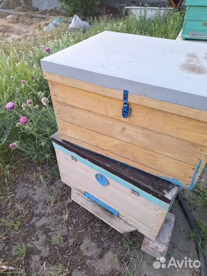 Улей для пчел