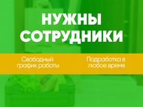 Курьер посылок (свободный график) 16+