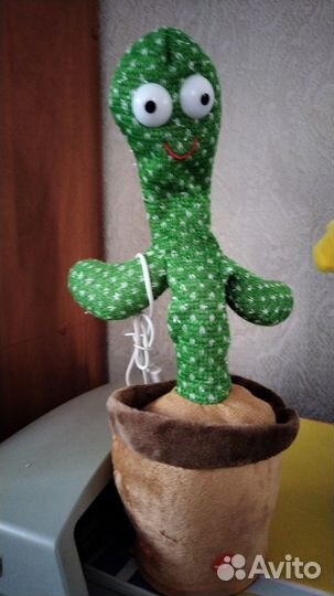 Танцующий кактус