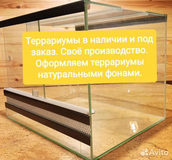 Террариумы на заказ от мастера