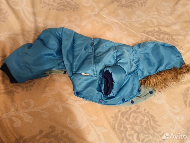 Куртка для собак