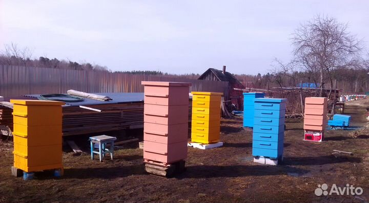 Ульи для пчёл