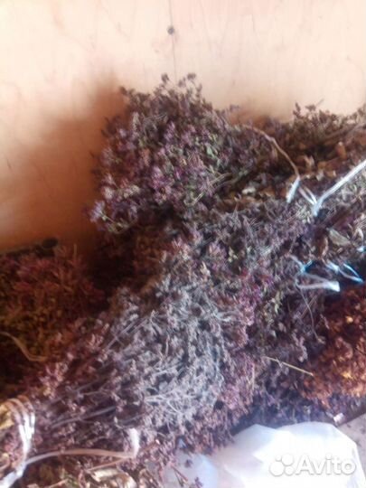 Душица зверобой, корень солодки