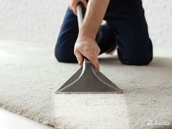 Аренда керхер / моющий пылесос, пароочиститель