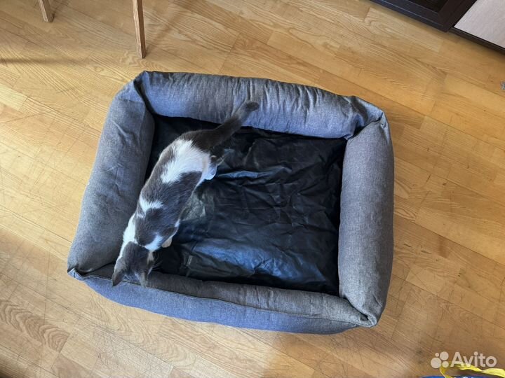 Лежанка для собак средних и крупных пород