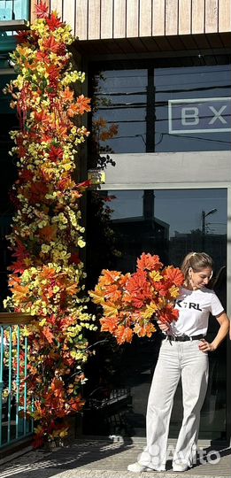 Оформление фасада